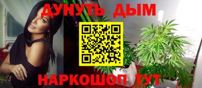 каннабис Новозыбков