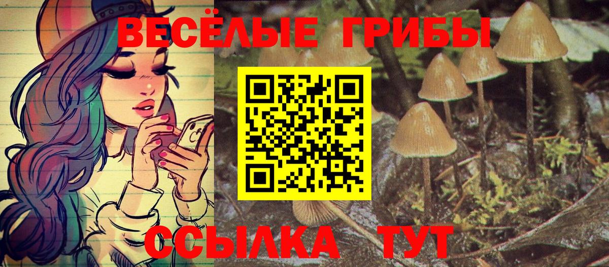 Псилоцибиновые грибы GOLDEN TEACHER Удомля