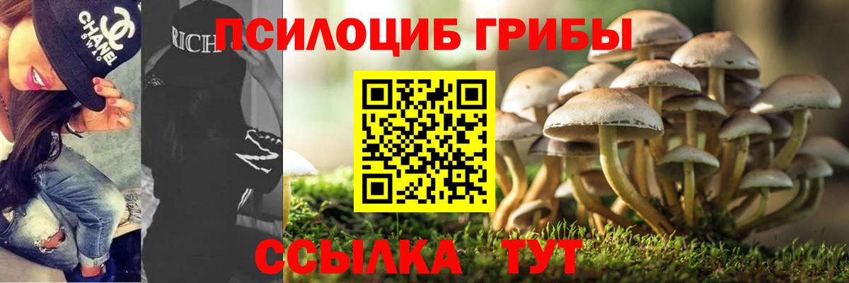 Удомля  цена   Вход с VPN  Псилоцибиновые грибы мицелий 