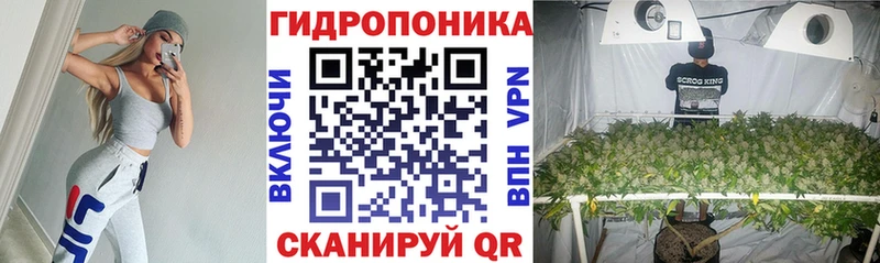 hydra ONION  Удомля  Каннабис Bruce Banner 